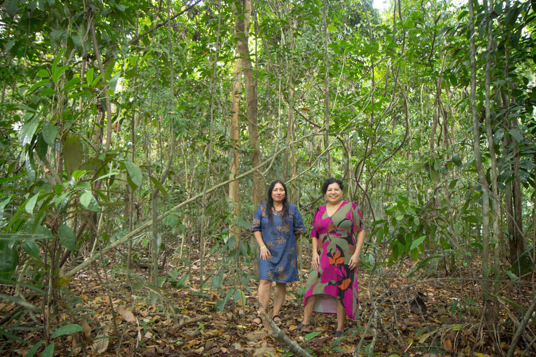 Amazônia Real faz campanha de financiamento coletivo para ampliar reportagens investigativas