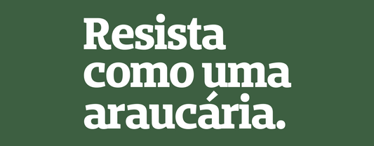 PEITA lança edição limitada “Resista Como Uma Araucária”